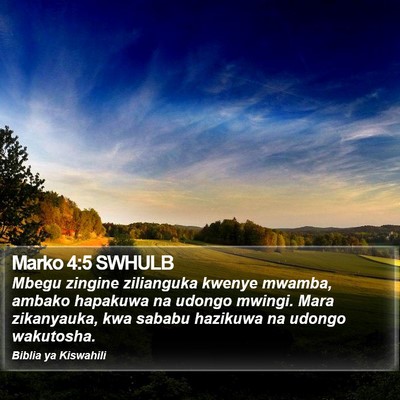 Marko 4:5 SWHULB Bible Verse Image