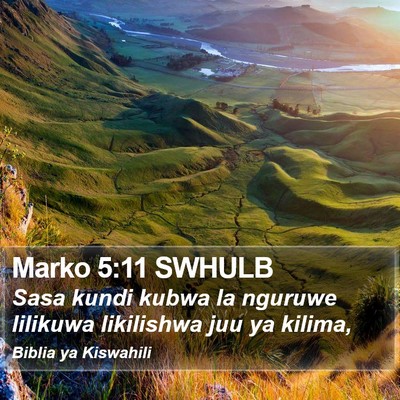 Marko 5:11 SWHULB Bible Verse Image