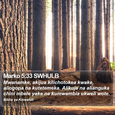 Marko 5:33 SWHULB Bible Verse Image
