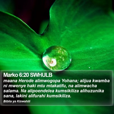 Marko 6:20 SWHULB Bible Verse Image