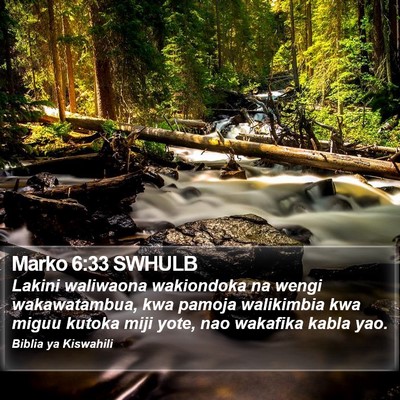 Marko 6:33 SWHULB Bible Verse Image
