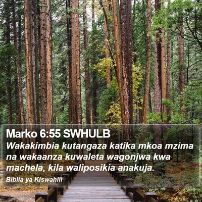 Marko 6:55 SWHULB Bible Verse Image