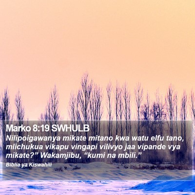 Marko 8:19 SWHULB Bible Verse Image