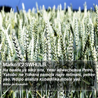 Marko 9:2 SWHULB Bible Verse Image