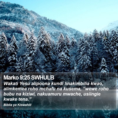 Marko 9:25 SWHULB Bible Verse Image