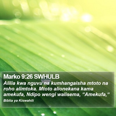 Marko 9:26 SWHULB Bible Verse Image