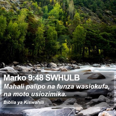 Marko 9:48 SWHULB Bible Verse Image