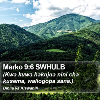 Marko 9:6 SWHULB Bible Verse Image