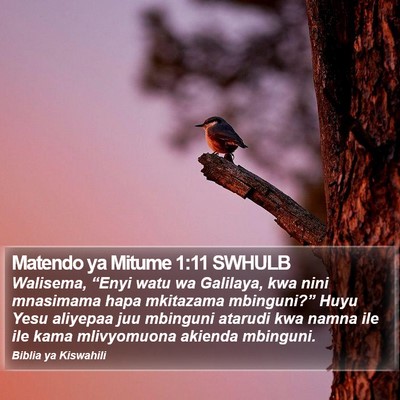Matendo ya Mitume 1:11 SWHULB Bible Verse Image