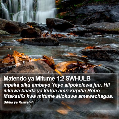 Matendo ya Mitume 1:2 SWHULB Bible Verse Image