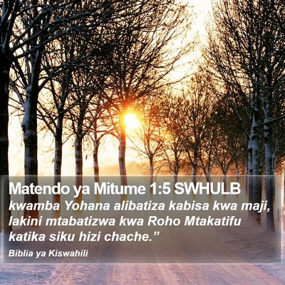Matendo ya Mitume 1:5 SWHULB Bible Verse Image