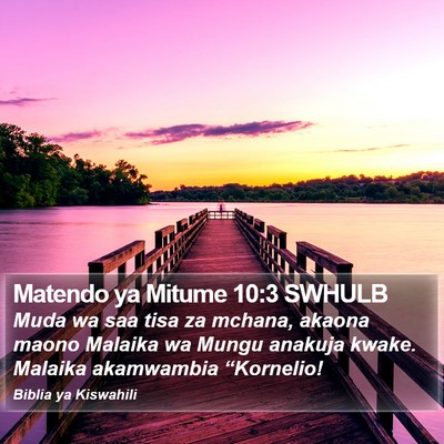 Matendo ya Mitume 10:3 SWHULB Bible Verse Image