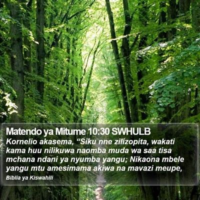 Matendo ya Mitume 10:30 SWHULB Bible Verse Image