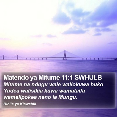 Matendo ya Mitume 11:1 SWHULB Bible Verse Image