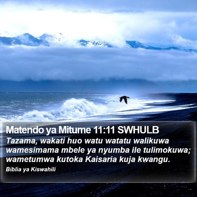 Matendo ya Mitume 11:11 SWHULB Bible Verse Image