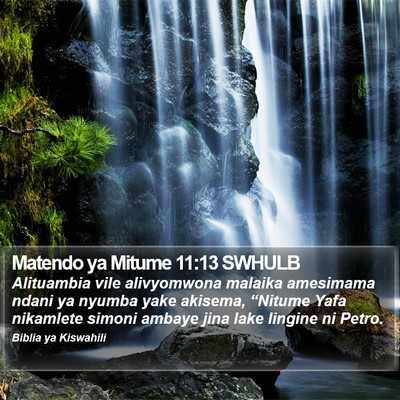 Matendo ya Mitume 11:13 SWHULB Bible Verse Image