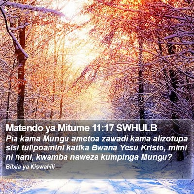 Matendo ya Mitume 11:17 SWHULB Bible Verse Image