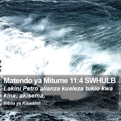 Matendo ya Mitume 11:4 SWHULB Bible Verse Image
