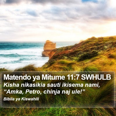 Matendo ya Mitume 11:7 SWHULB Bible Verse Image