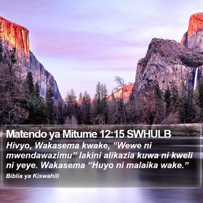 Matendo ya Mitume 12:15 SWHULB Bible Verse Image