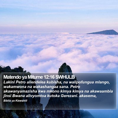 Matendo ya Mitume 12:16 SWHULB Bible Verse Image