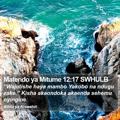 Matendo ya Mitume 12:17 SWHULB Bible Verse Image