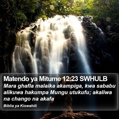 Matendo ya Mitume 12:23 SWHULB Bible Verse Image