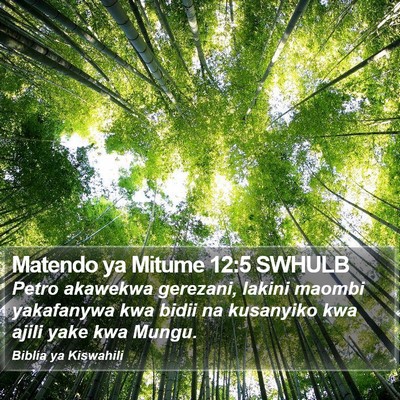 Matendo ya Mitume 12:5 SWHULB Bible Verse Image