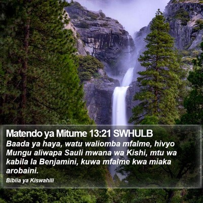 Matendo ya Mitume 13:21 SWHULB Bible Verse Image