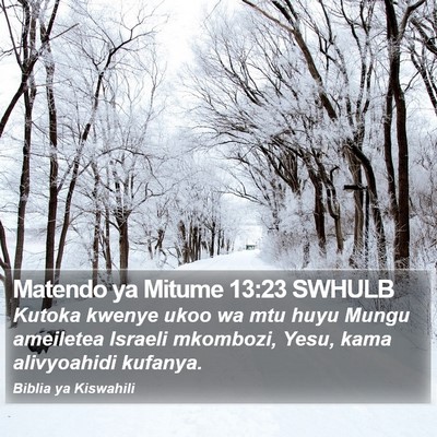 Matendo ya Mitume 13:23 SWHULB Bible Verse Image