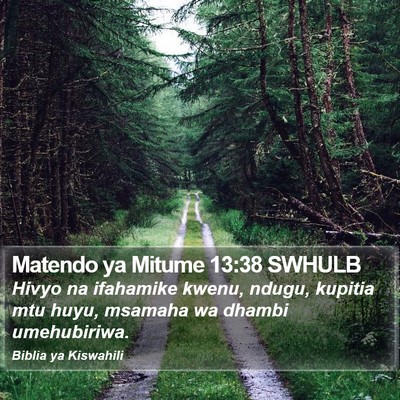 Matendo ya Mitume 13:38 SWHULB Bible Verse Image