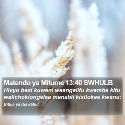 Matendo ya Mitume 13:40 SWHULB Bible Verse Image