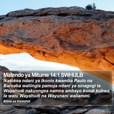 Matendo ya Mitume 14:1 SWHULB Bible Verse Image