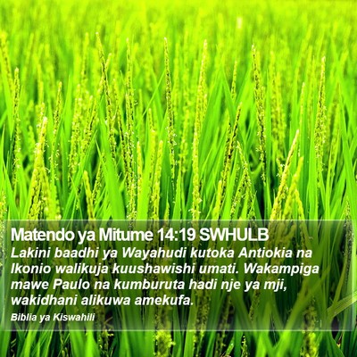 Matendo ya Mitume 14:19 SWHULB Bible Verse Image