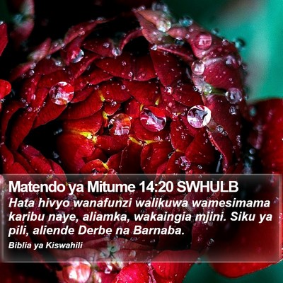 Matendo ya Mitume 14:20 SWHULB Bible Verse Image