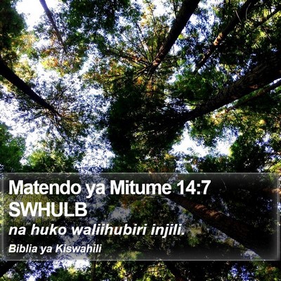 Matendo ya Mitume 14:7 SWHULB Bible Verse Image
