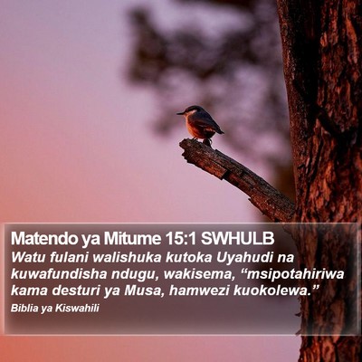 Matendo ya Mitume 15:1 SWHULB Bible Verse Image
