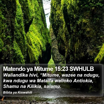 Matendo ya Mitume 15:23 SWHULB Bible Verse Image