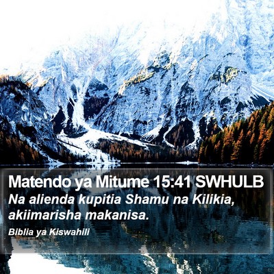 Matendo ya Mitume 15:41 SWHULB Bible Verse Image