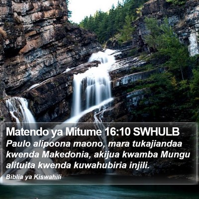 Matendo ya Mitume 16:10 SWHULB Bible Verse Image
