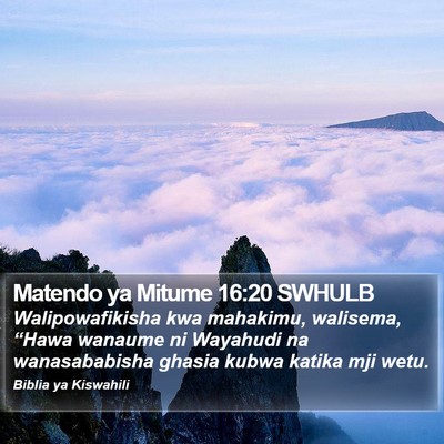 Matendo ya Mitume 16:20 SWHULB Bible Verse Image