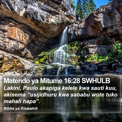 Matendo ya Mitume 16:28 SWHULB Bible Verse Image