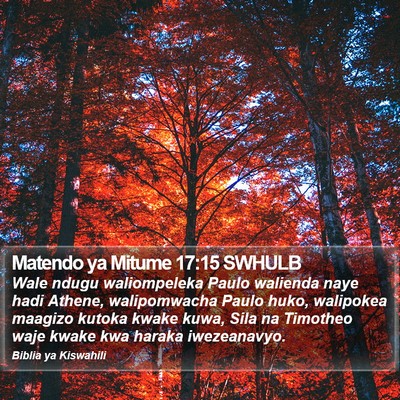 Matendo ya Mitume 17:15 SWHULB Bible Verse Image