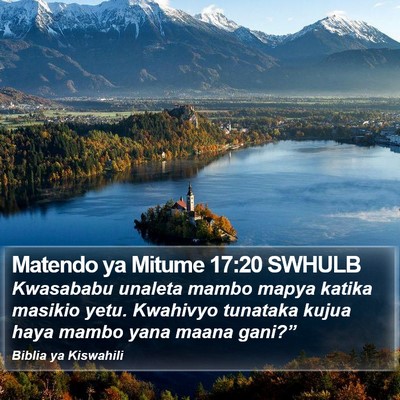 Matendo ya Mitume 17:20 SWHULB Bible Verse Image