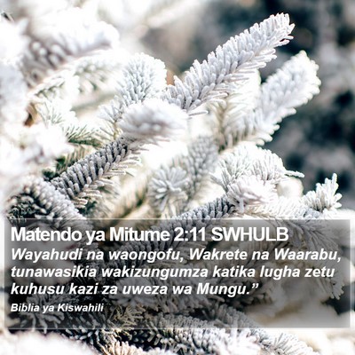 Matendo ya Mitume 2:11 SWHULB Bible Verse Image