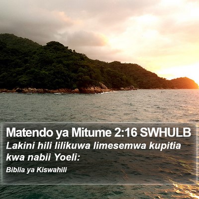 Matendo ya Mitume 2:16 SWHULB Bible Verse Image