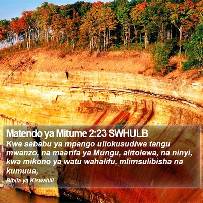 Matendo ya Mitume 2:23 SWHULB Bible Verse Image