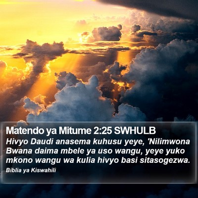 Matendo ya Mitume 2:25 SWHULB Bible Verse Image