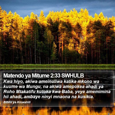 Matendo ya Mitume 2:33 SWHULB Bible Verse Image