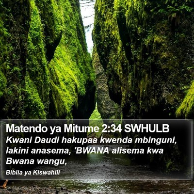 Matendo ya Mitume 2:34 SWHULB Bible Verse Image